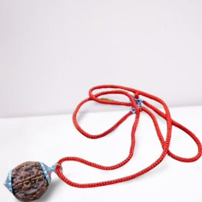 7 Mukhi Rudraksha Silver Capped Pendant